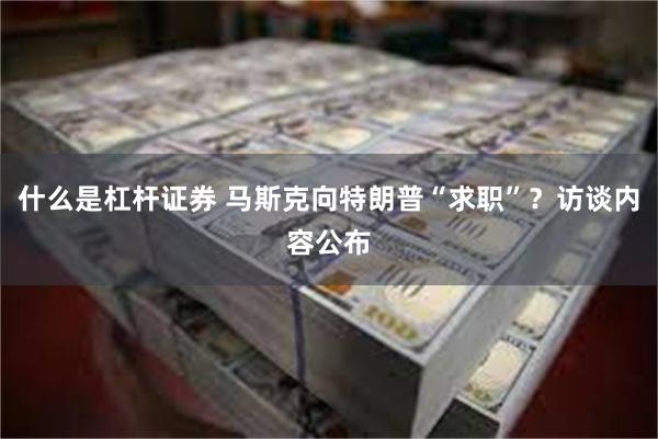 什么是杠杆证券 马斯克向特朗普“求职”？访谈内容公布
