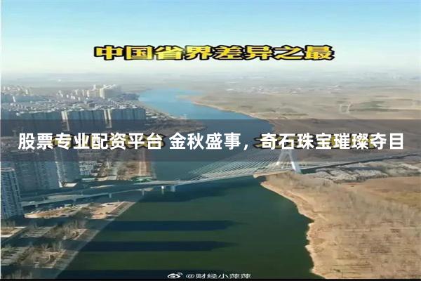股票专业配资平台 金秋盛事，奇石珠宝璀璨夺目