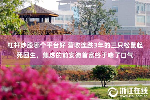 杠杆炒股哪个平台好 营收连跌3年的三只松鼠起死回生，焦虑的前安徽首富终于喘了口气