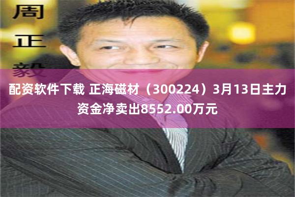 配资软件下载 正海磁材（300224）3月13日主力资金净卖出8552.00万元