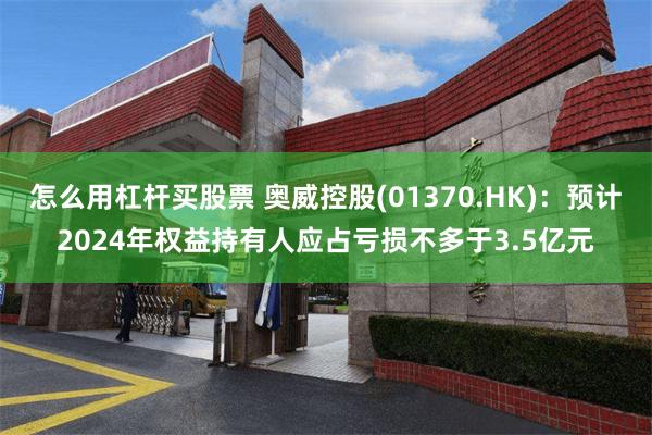 怎么用杠杆买股票 奥威控股(01370.HK)：预计2024年权益持有人应占亏损不多于3.5亿元