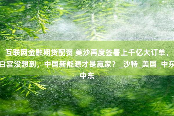 互联网金融期货配资 美沙再度签署上千亿大订单，白宫没想到，中国新能源才是赢家？_沙特_美国_中东