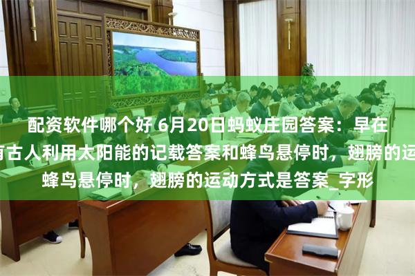 配资软件哪个好 6月20日蚂蚁庄园答案：早在我国哪个朝代，就有古人利用太阳能的记载答案和蜂鸟悬停时，翅膀的运动方式是答案_字形
