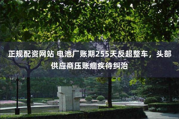正规配资网站 电池厂账期255天反超整车，头部供应商压账痼疾待纠治